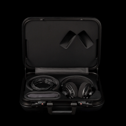 Final Audio D7000 Semi-Open Planar Magnetic Headphones